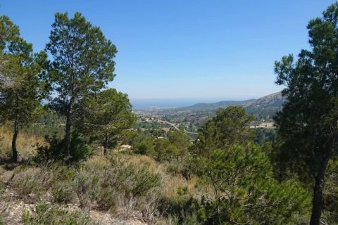 Land plot for sale in Finestrat, Alicante, Spain No. 42604 - photo 6