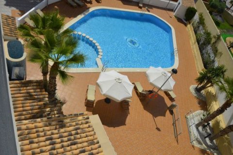 Hotel for sale in El Campello, Alicante, Spain 101 bedroom, 7.49 sq.m. No. 44625 - photo 3