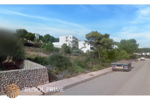 Land plot for sale Es Mercadal, Menorca, Spain 2040 sq.m. No. 46944 - photo 3