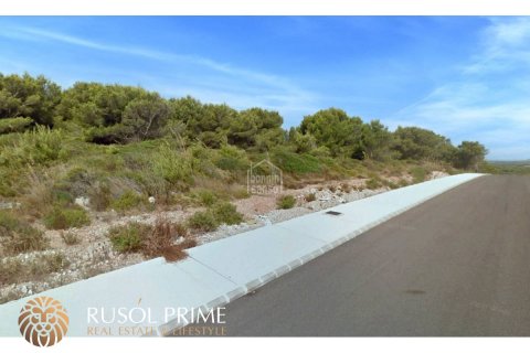 Land plot for sale in Es Mercadal, Menorca, Spain 4850 sq.m. No. 46945 - photo 4