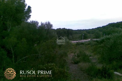 Land plot for sale in Es Mercadal, Menorca, Spain No. 47063 - photo 1
