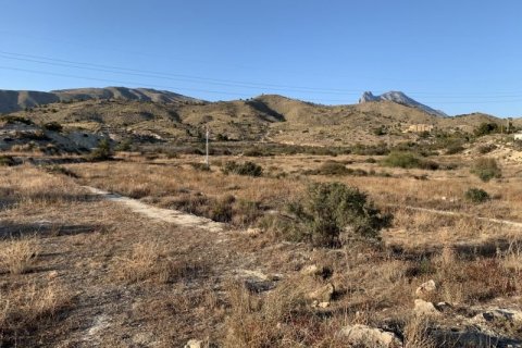 Commercial property for sale in Villajoyosa, Alicante, Spain No. 43883 - photo 3