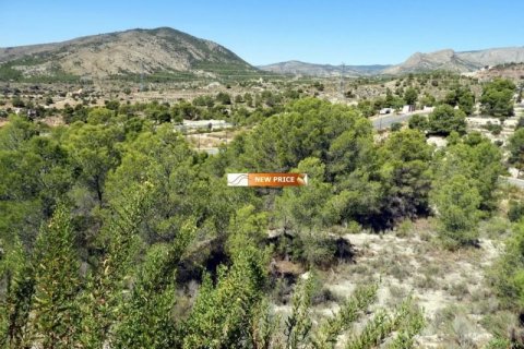 Land plot for sale in Finestrat, Alicante, Spain No. 45087 - photo 9