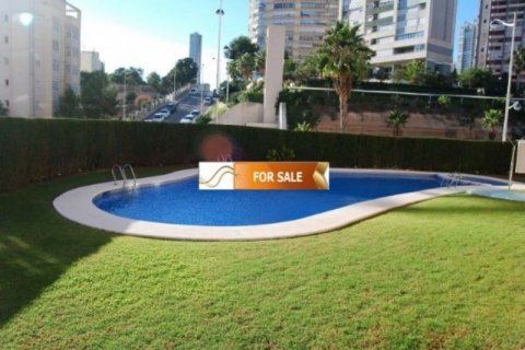 Apartment for sale in Benidorm, Alicante, Spain 3 bedrooms, 85 sq.m. No. 45616 - photo 5