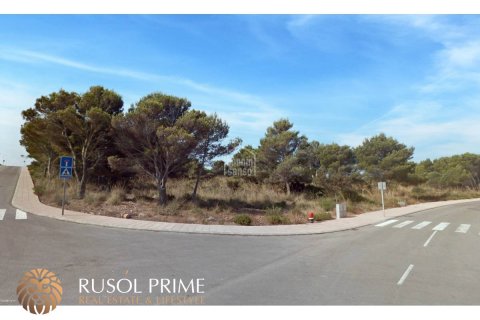 Land plot for sale in Es Mercadal, Menorca, Spain 1800 sq.m. No. 46931 - photo 4