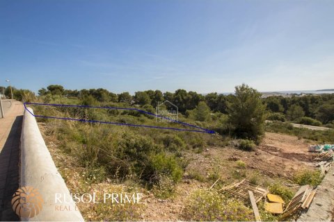 Land plot for sale in Es Mercadal, Menorca, Spain No. 46910 - photo 4