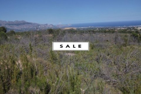 Land plot for sale in La Nucia, Alicante, Spain No. 45904 - photo 10