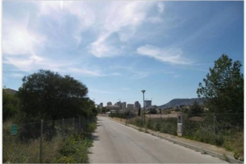 Land plot for sale in Calpe, Alicante, Spain No. 45090 - photo 1