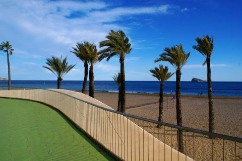 Hotel for sale in Benidorm, Alicante, Spain 34 bedrooms,  No. 44143 - photo 3