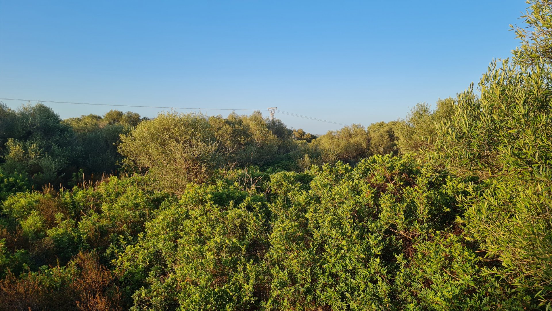 Zemes gabals Santanyi, Mallorca, Spānijā 59409 m2 Nr. 49448