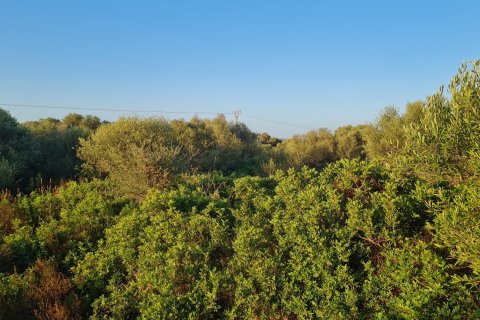 Land plot for sale in Santanyi, Mallorca, Spain 59409 sq.m. No. 49448 - photo 3