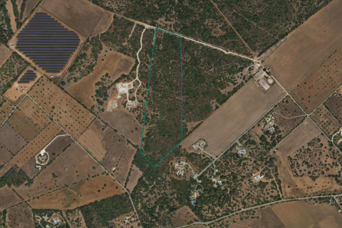 Land plot for sale in Santanyi, Mallorca, Spain 59409 sq.m. No. 49448 - photo 2