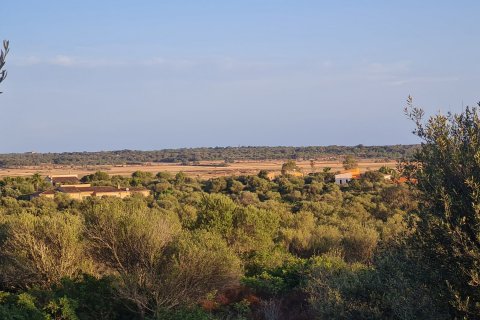 Land plot for sale in Santanyi, Mallorca, Spain 59409 sq.m. No. 49448 - photo 1