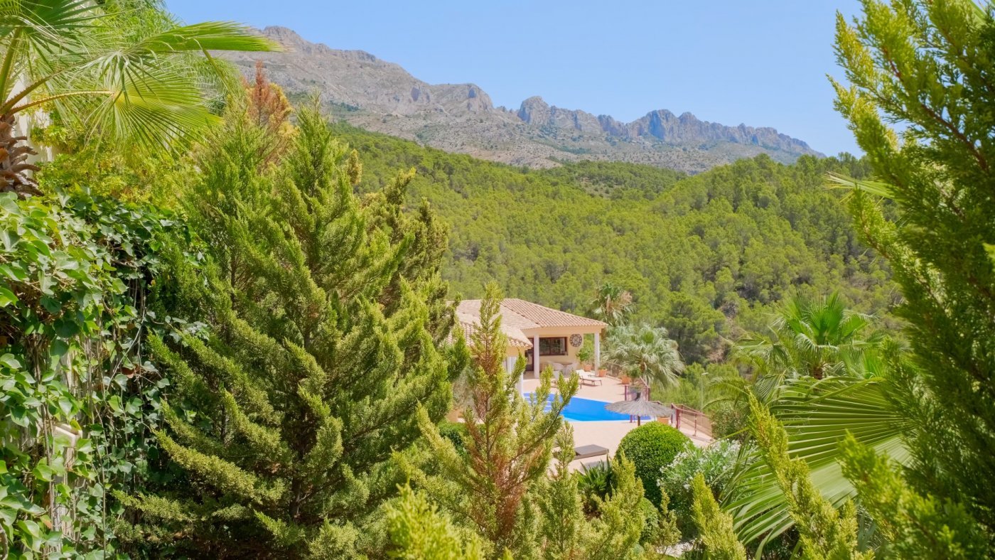 Villa in Altea La Vella, Alicante, Spain 5 bedrooms, 1900 sq.m. No. 50715