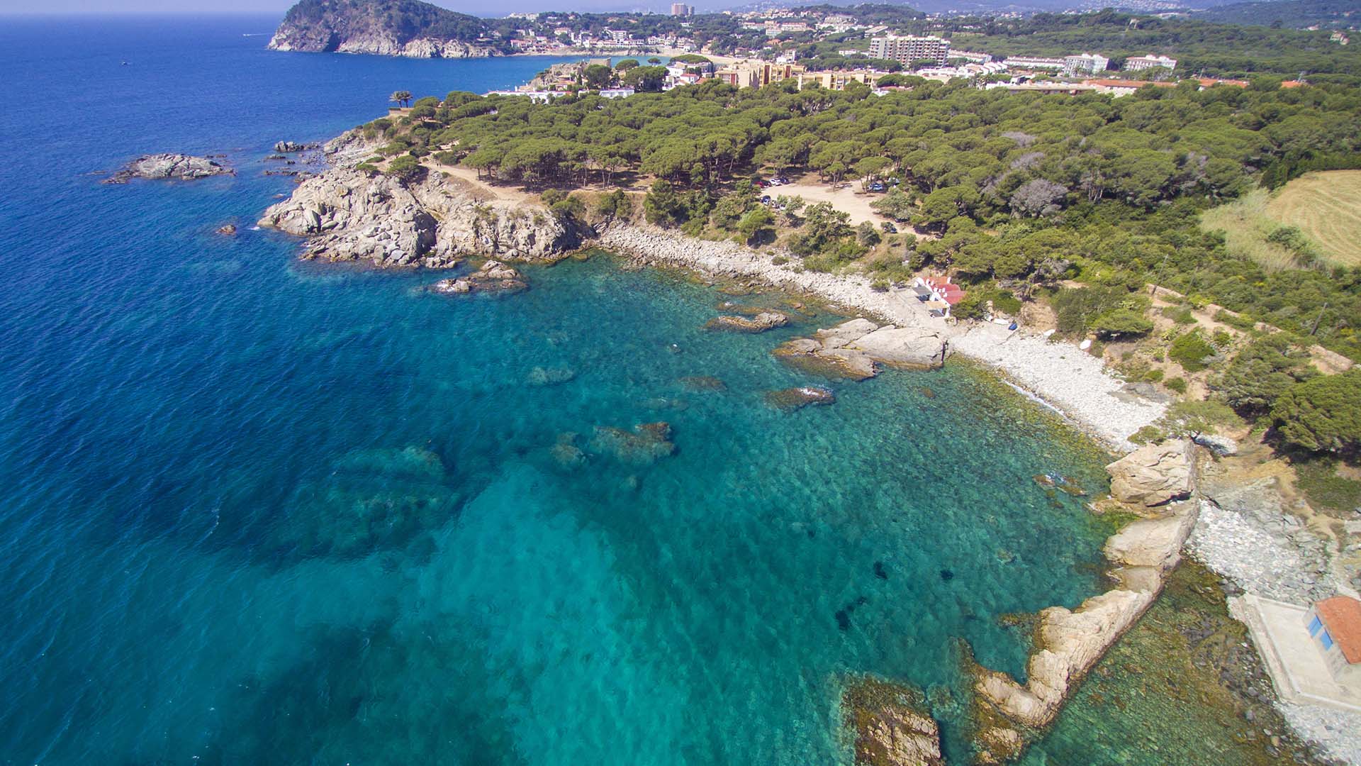 Cala S’Alguer Palamos, Girona, Spānijā Nr. 50409