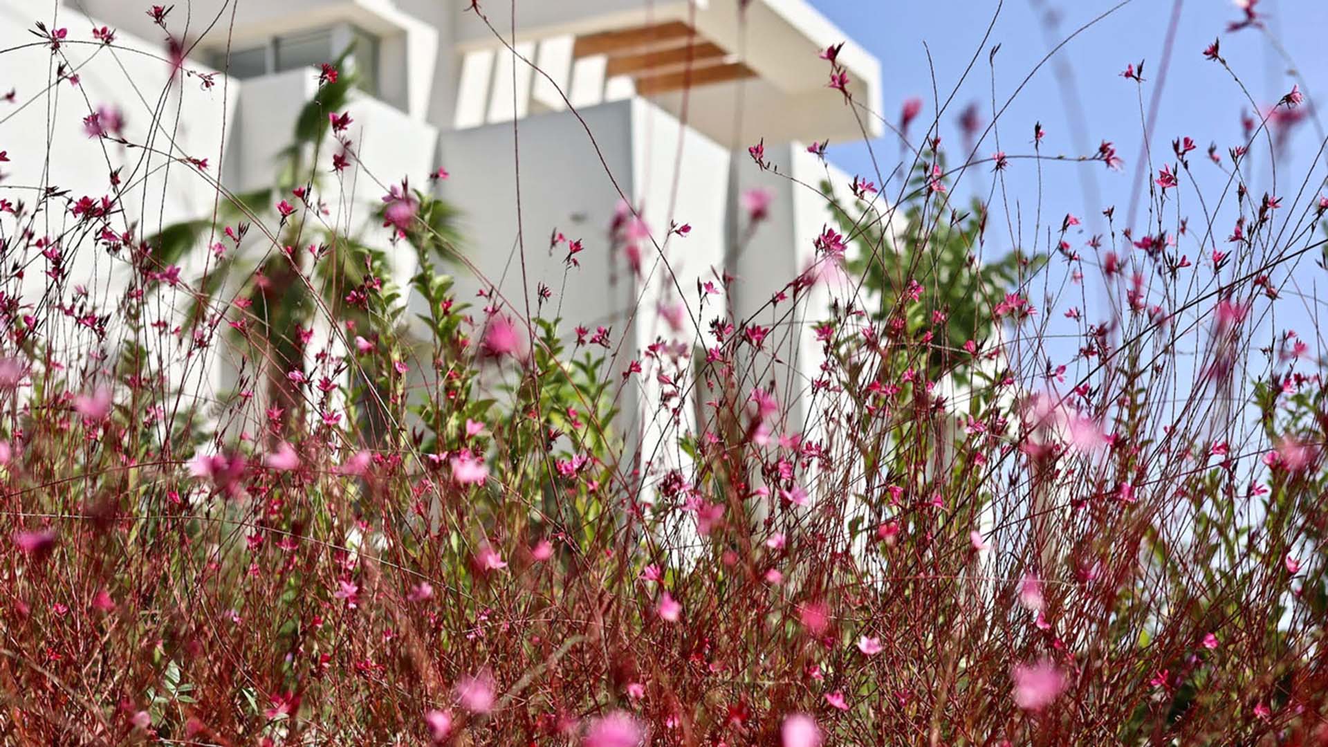 Marbella Club Hills en Benahavís, Málaga, España No. 50353
