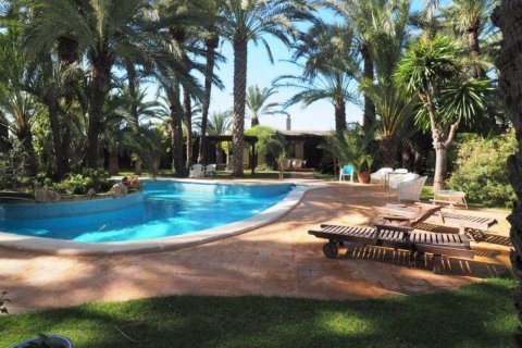 Villa for sale in Elche, Alicante, Spain 8 bedrooms, 800 sq.m. No. 50313 - photo 6
