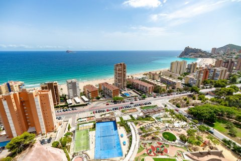 Apartment for rent in Benidorm, Alicante, Spain 2 bedrooms, 105 sq.m. No. 50240 - photo 16