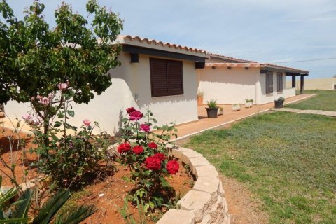 Finca for sale in Ondara, Alicante, Spain 4 bedrooms, 500 sq.m. No. 50224 - photo 6