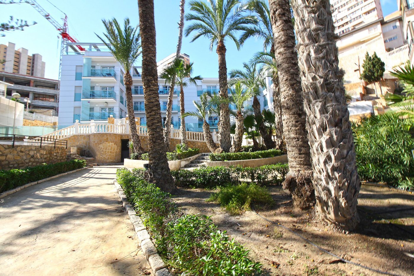 Wohnung in Benidorm, Alicante, Spanien 2 Schlafzimmer,  Nr. 50721