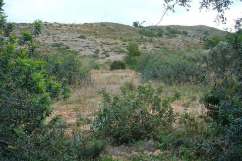 Land plot for sale in Denia, Alicante, Spain No. 50228 - photo 3