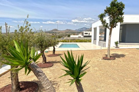 Villa for sale in Rio Park, Alicante, Spain 3 bedrooms, 987 sq.m. No. 50754 - photo 26
