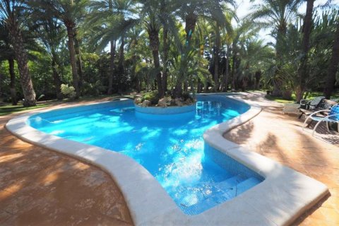 Villa for sale in Elche, Alicante, Spain 8 bedrooms, 800 sq.m. No. 50313 - photo 8