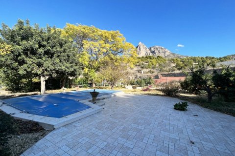 House for sale in Finestrat, Alicante, Spain 4 bedrooms, 900 sq.m. No. 50711 - photo 8