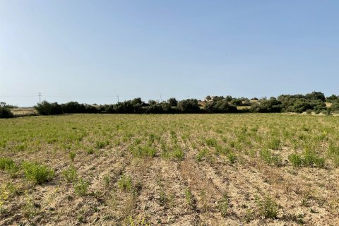 Land plot for sale in Maria De La Salut, Mallorca, Spain 1 bedroom, 28000 sq.m. No. 50430 - photo 2