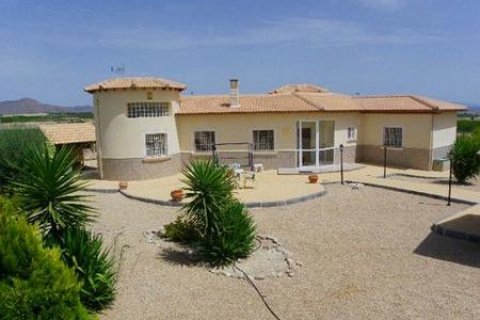 Villa for sale in Murcia, Spain 3 bedrooms, 135 sq.m. No. 50320 - photo 1