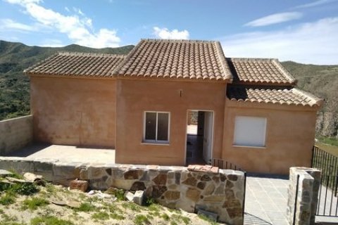 Villa for sale in Arboleas, Almeria, Spain 3 bedrooms, 160 sq.m. No. 50337 - photo 2