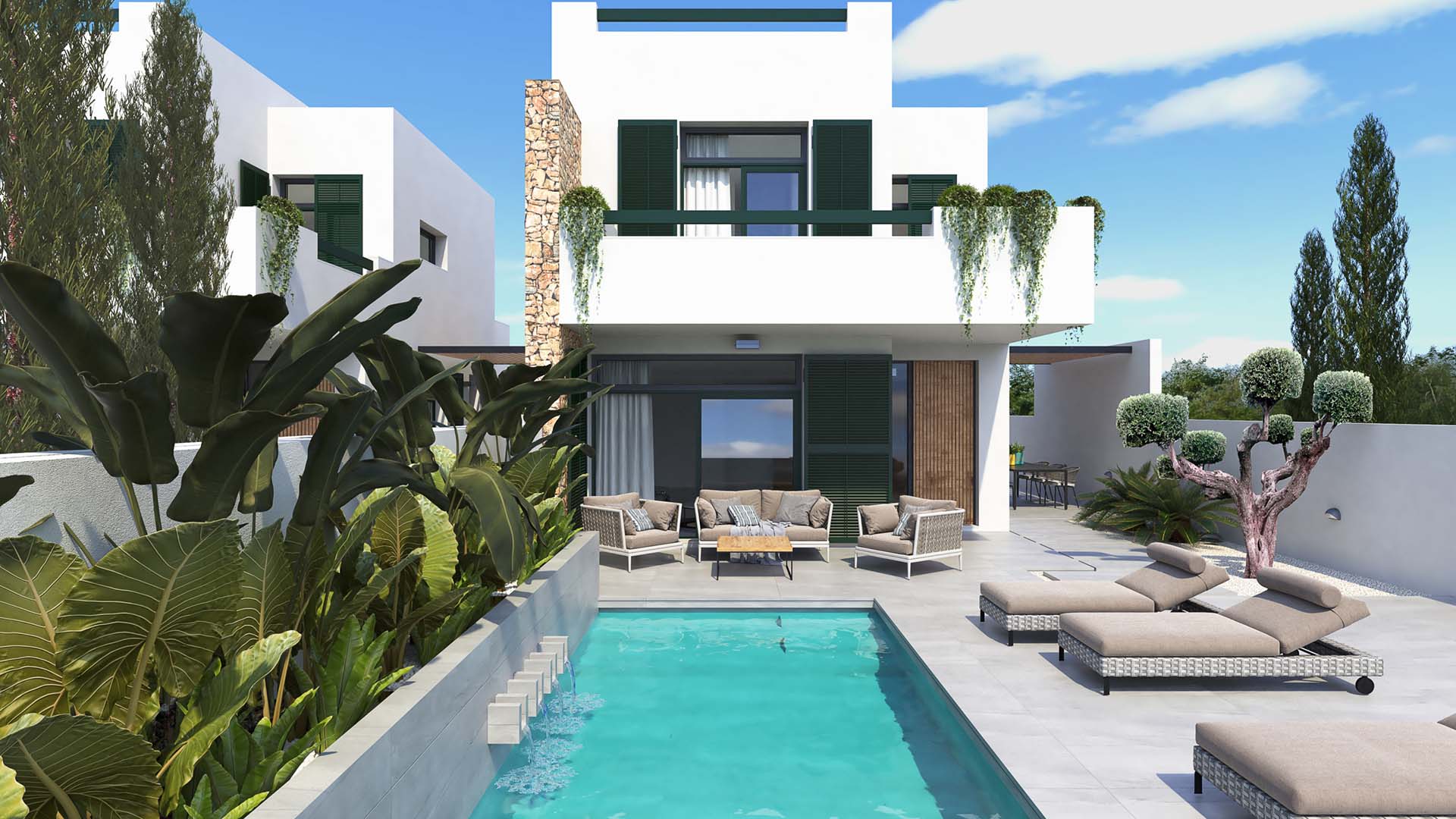 Olive Collection in Daya Nueva, Alicante, Spain No. 51591