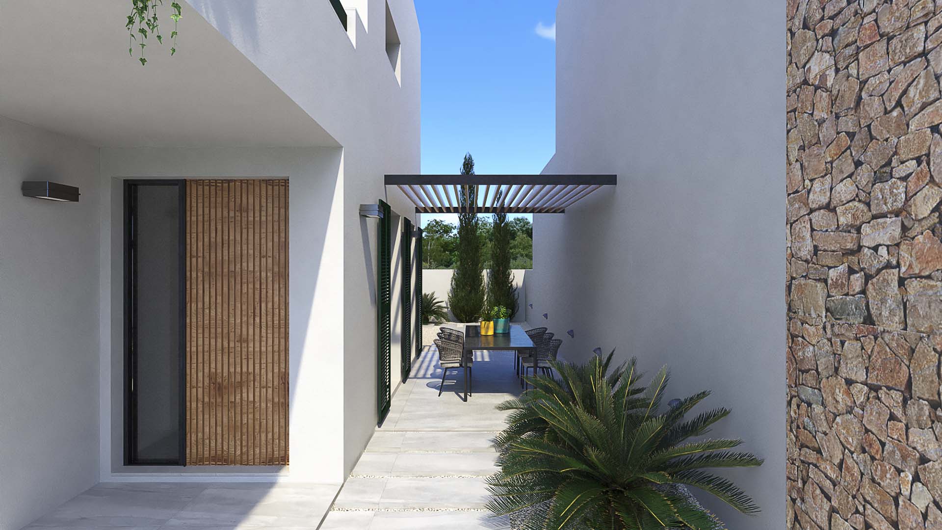 Olive Collection in Daya Nueva, Alicante, Spain No. 51591