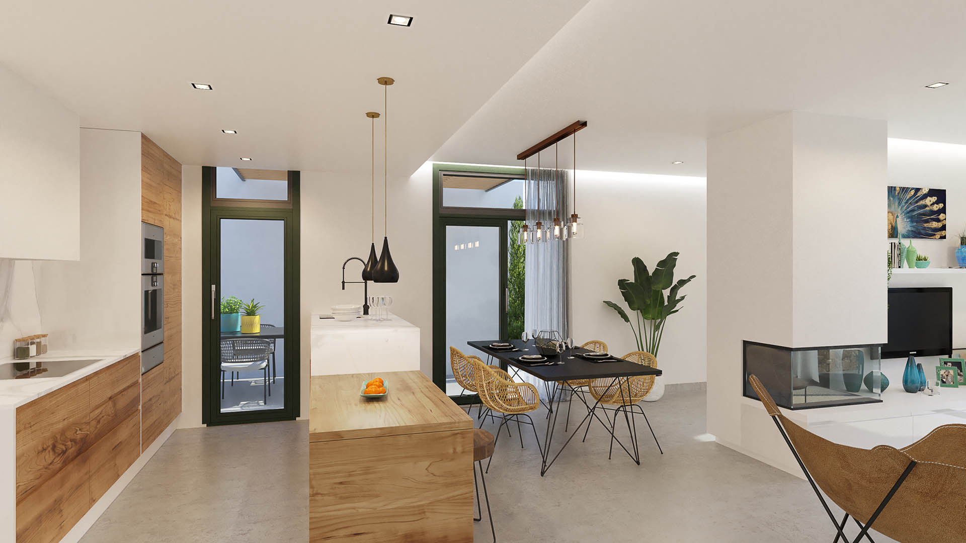 Olive Collection in Daya Nueva, Alicante, Spain No. 51591