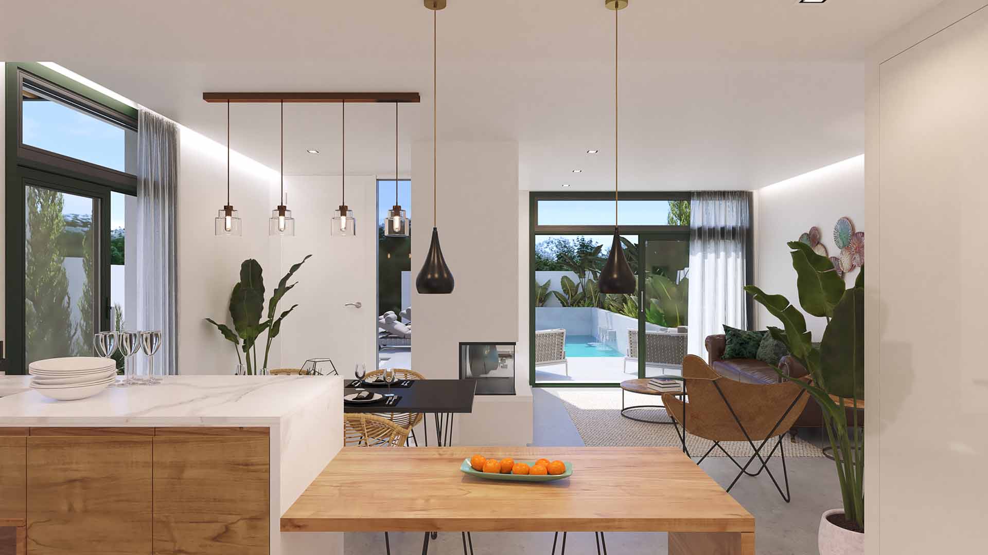 Olive Collection in Daya Nueva, Alicante, Spain No. 51591