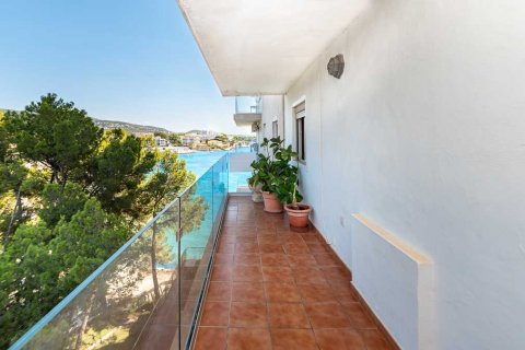 Apartment for sale in Palmanova, Mallorca, Spain 4 bedrooms, 220 sq.m. No. 51477 - photo 3