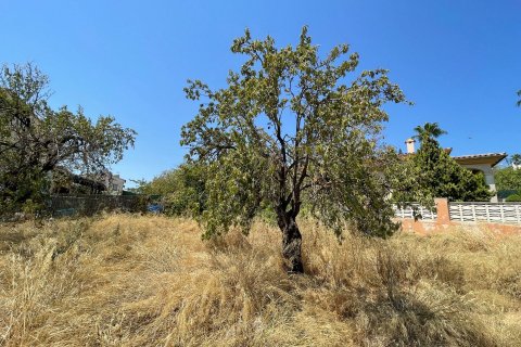 Land plot for sale in Calvia, Mallorca, Spain 687 sq.m. No. 51631 - photo 3