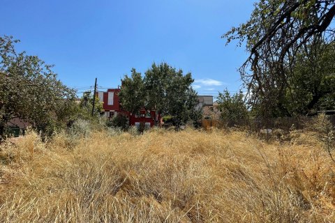 Land plot for sale in Calvia, Mallorca, Spain 687 sq.m. No. 51631 - photo 4