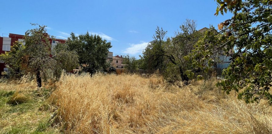 Land plot in Calvia, Mallorca, Spain 687 sq.m. No. 51631