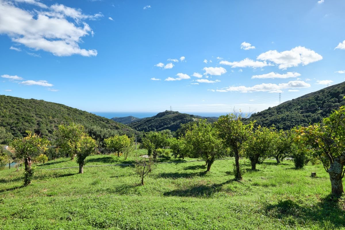 Huvila Estepona, Malaga, Espanja 2 makuuhuonetta, 259 m2 No. 53368