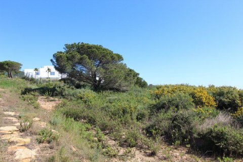 Land plot for sale in Sotogrande, Cadiz, Spain 1314 sq.m. No. 53401 - photo 6