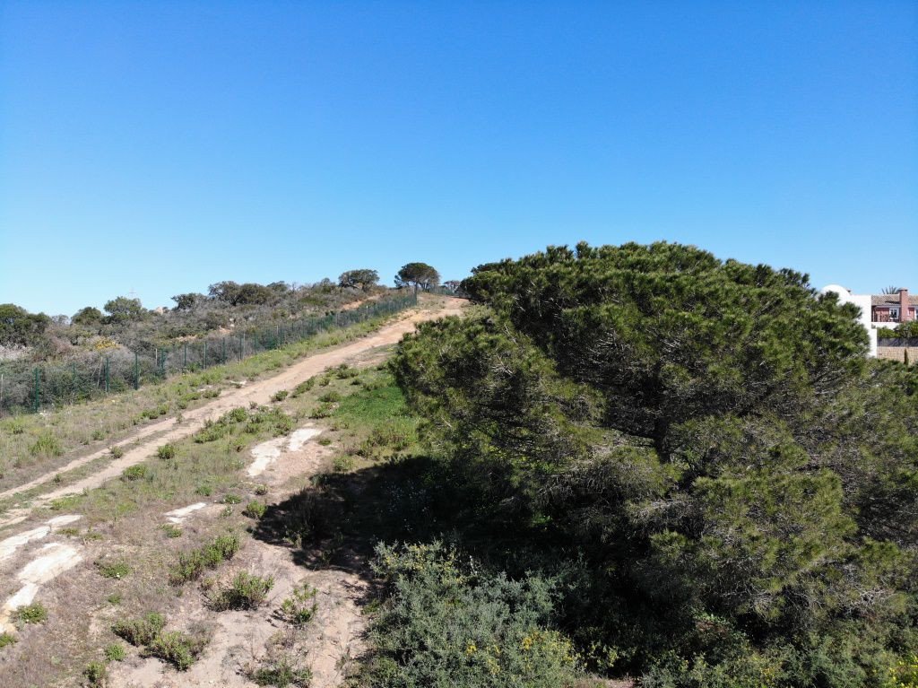Tontti Sotogrande, Cadiz, Espanja 1314 m2 No. 53401