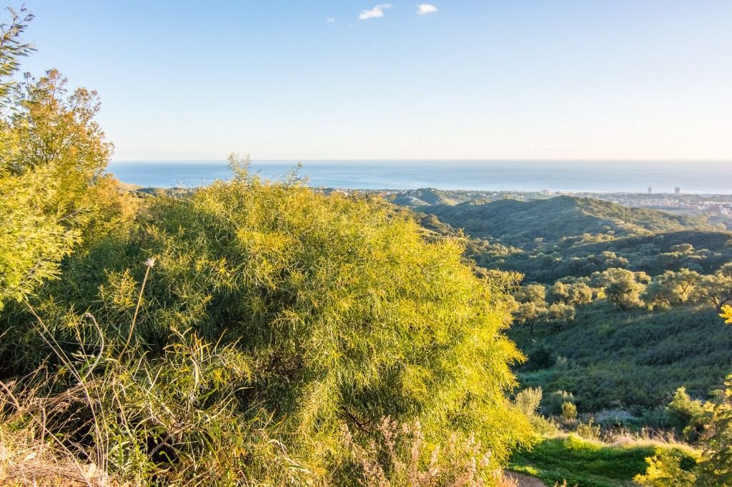 Land plot à Marbella Del Este, Malaga, Espagne No. 53460