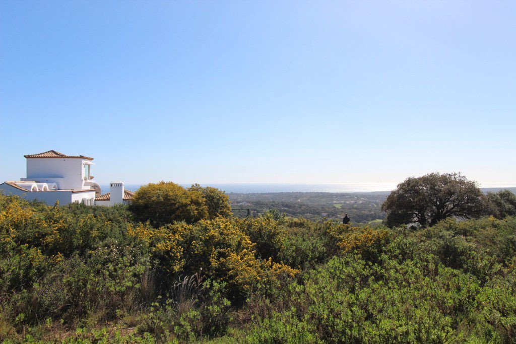 Tontti Sotogrande, Cadiz, Espanja 1314 m2 No. 53401