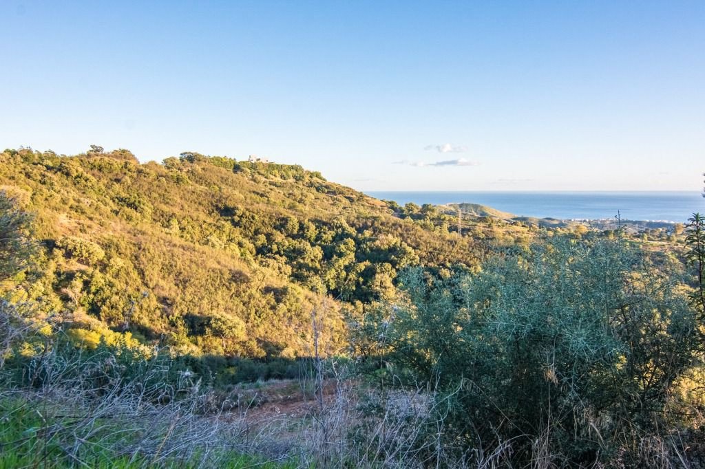 Land plot à Marbella Del Este, Malaga, Espagne No. 53460