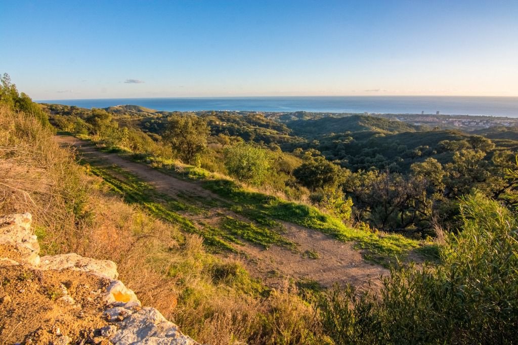 Land plot à Marbella Del Este, Malaga, Espagne No. 53460