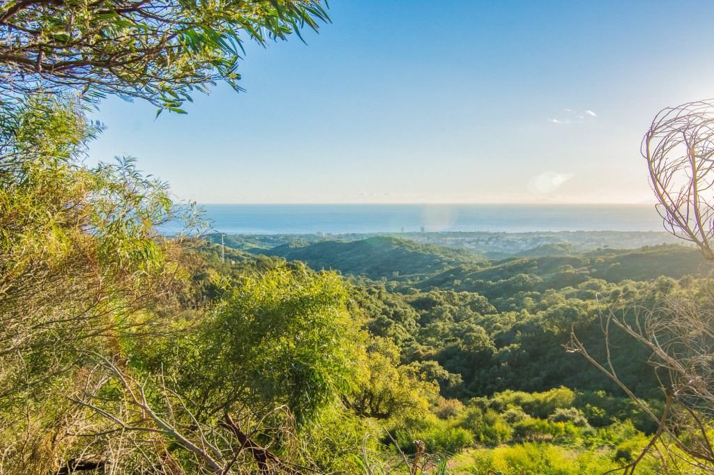 Land plot à Marbella Del Este, Malaga, Espagne No. 53460