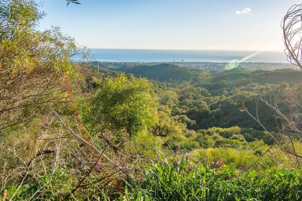 Land plot à Marbella Del Este, Malaga, Espagne No. 53460