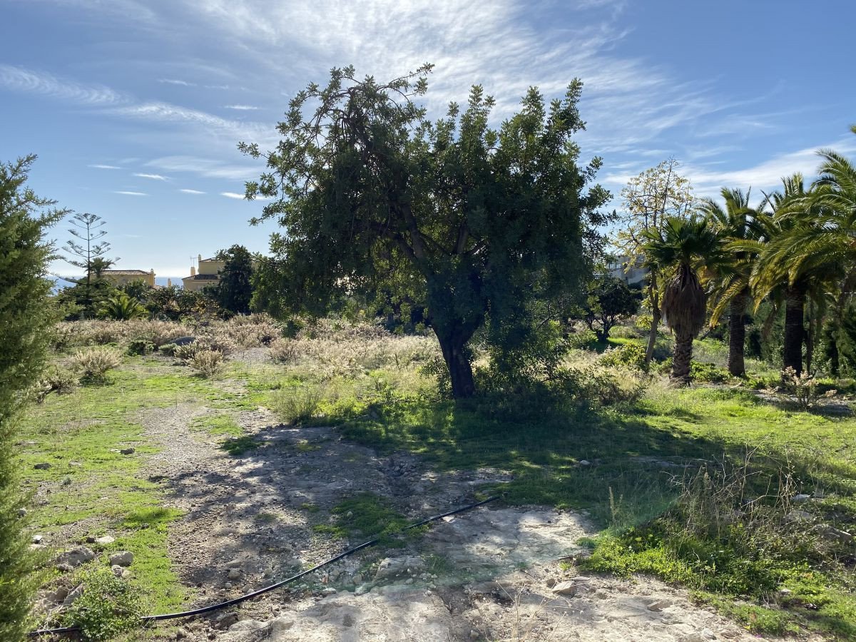 Land plot à Marbella Golden Mile, Malaga, Espagne 1881 m2 No. 53463