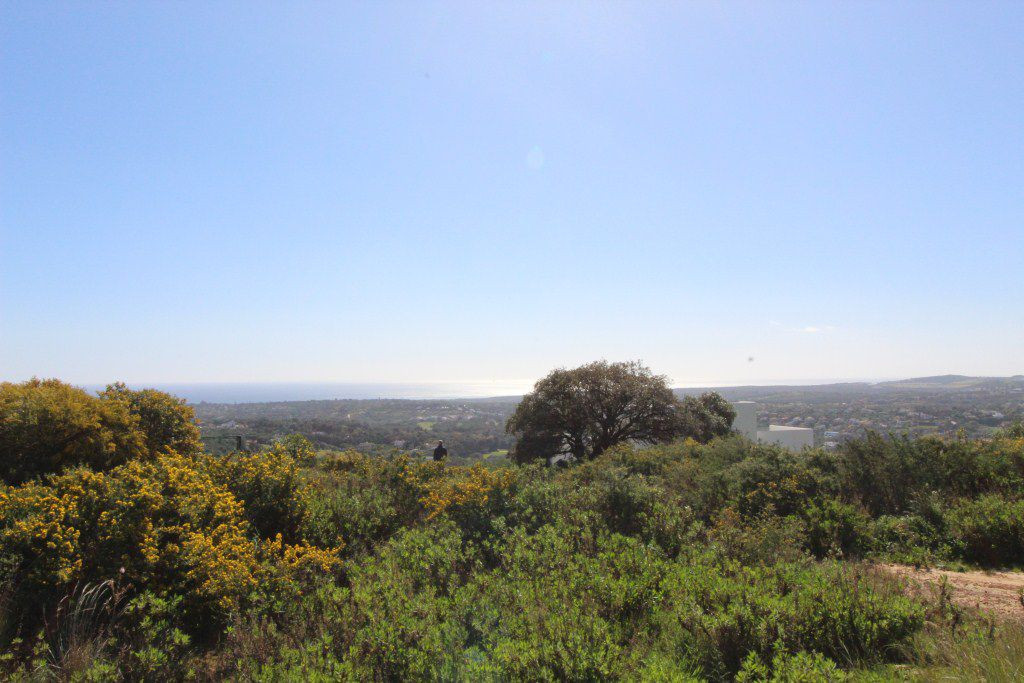 Tontti Sotogrande, Cadiz, Espanja 1314 m2 No. 53401